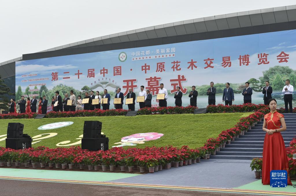 冰球突破网站登录